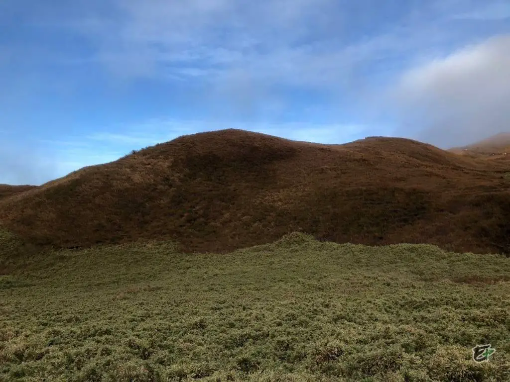 Short Clearing, Mount Pulag