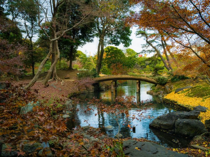 A bridge in Rikugien Gardens, Tokyo, Japan