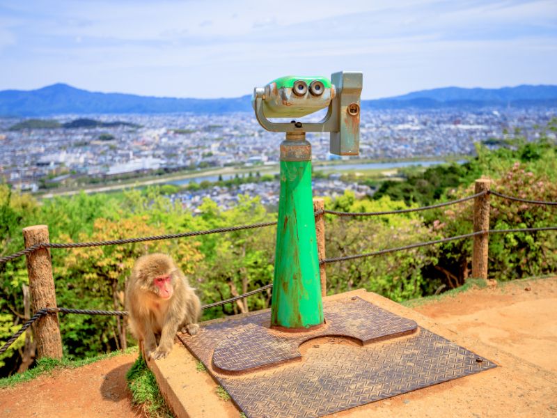 Arashimaya Monkey Park Iwatamaya, Kyoto, Japan