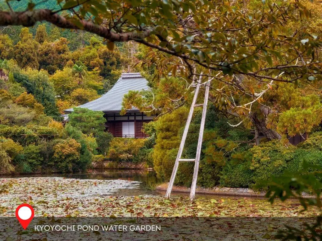 Kyoyochi Pond Water Garden, Ryoan Ji, Kyoto, Japan