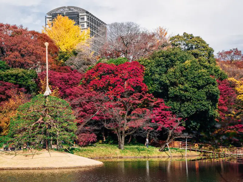 View of the Lake in Koishikawa Korakuen Gardens, Tokyo, Japan