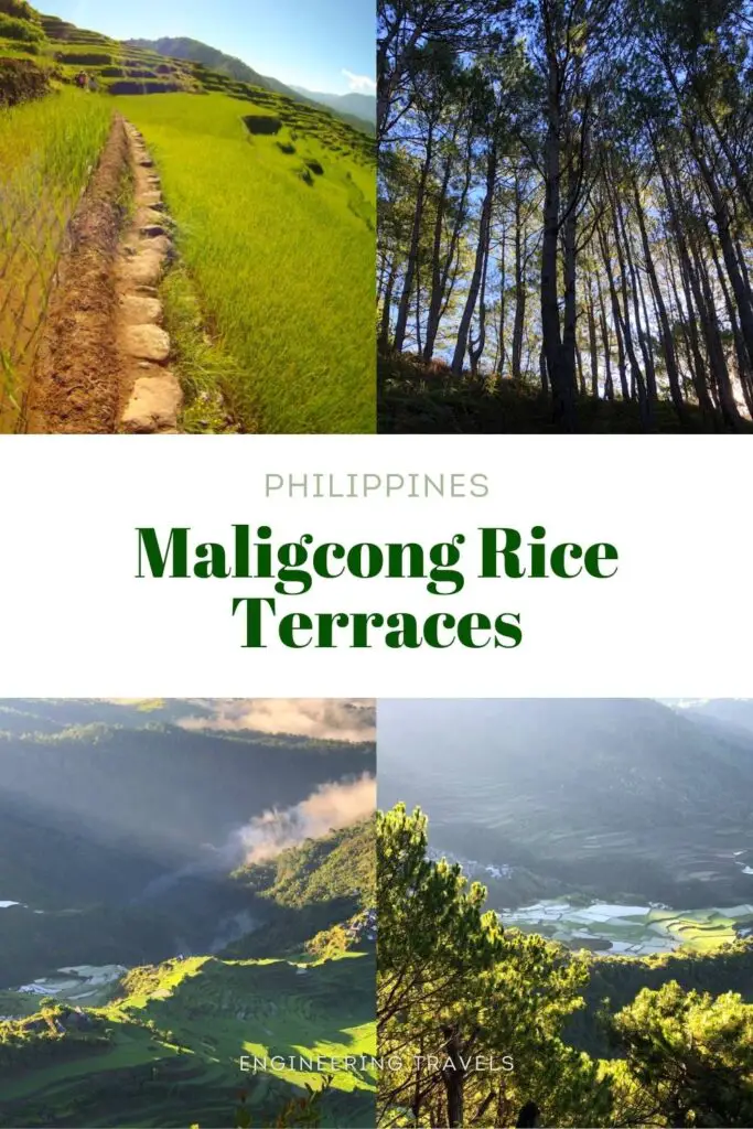 Maligcong Rice Terraces, Philippines