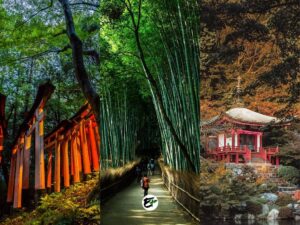 10 Reasons Why Visit Kyoto + Most Inspiring Photos of Kyoto
