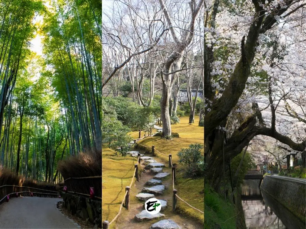 The Forest in Kyoto and Other Natural Attractions to Visit