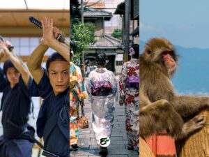15 Things to Do in Kyoto NOT Temples & Shrines