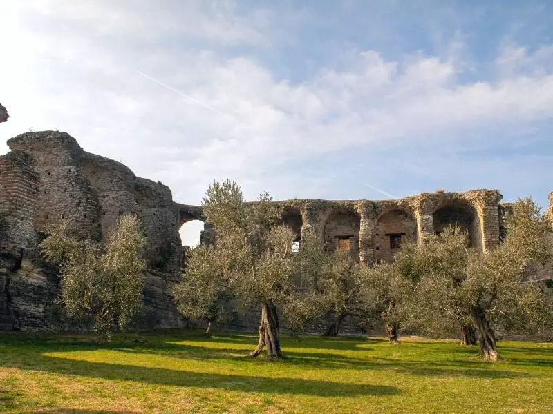 Olive trees in the Archaelogical Site of Grotte di Catullo, Lake Garda