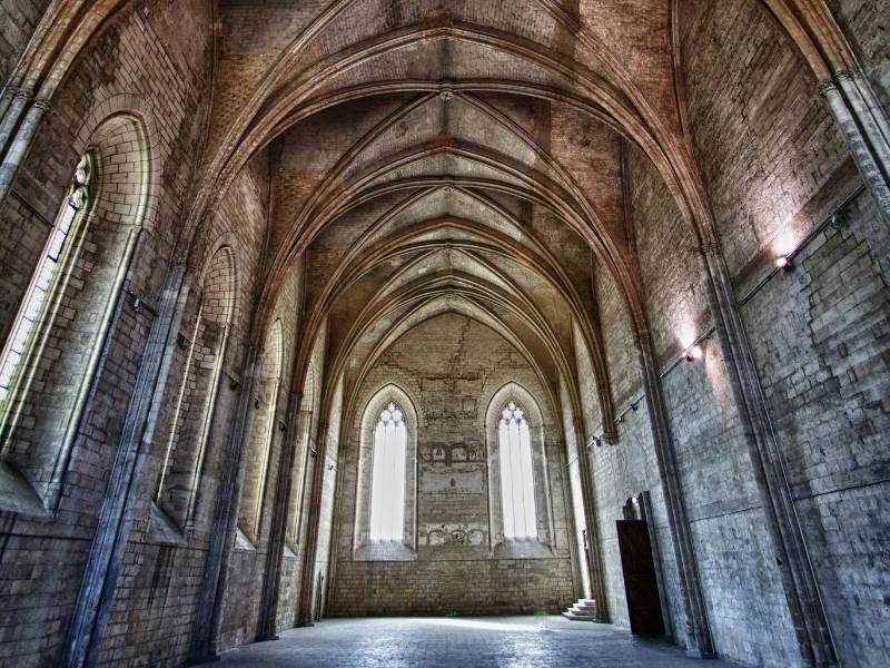 Avignon France, Palais des Papes, Hall (Reason to visit Avignon)