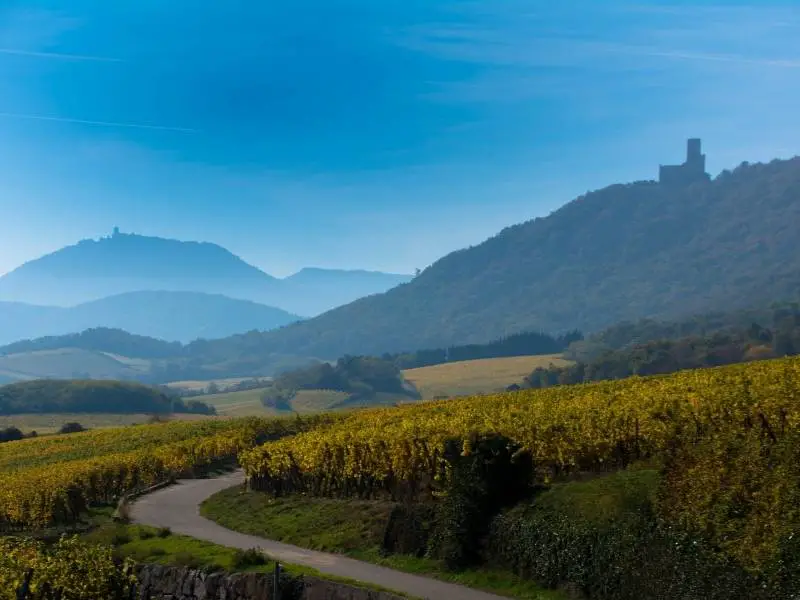 Colmar France Alsace and its hilltop castles