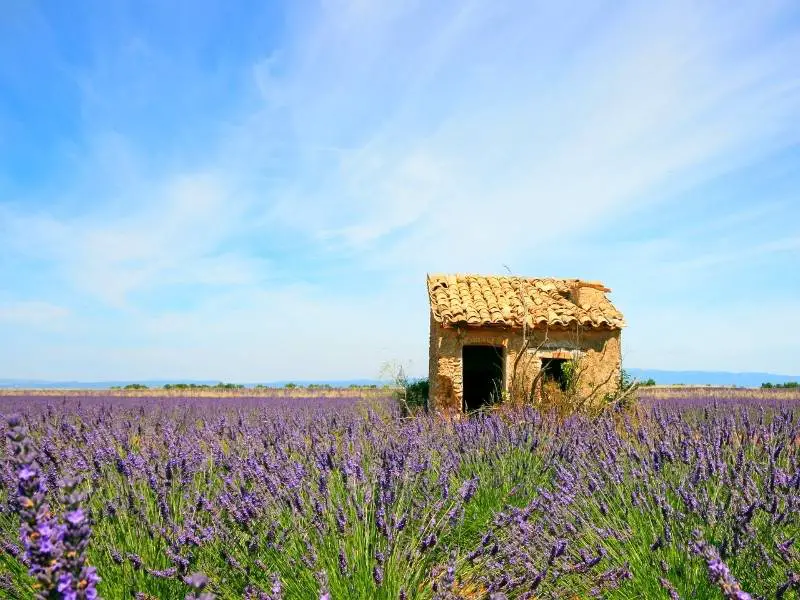 Moustiers Sainte Marie France - Valensole lavender fields and tiny house