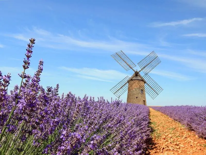 Moustiers Sainte Marie France - Valensole lavender fields windmill