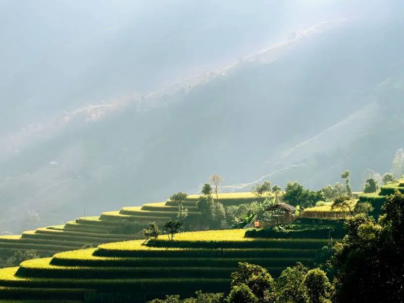 Rice terraces of Hoang Su Phi, Vietnam