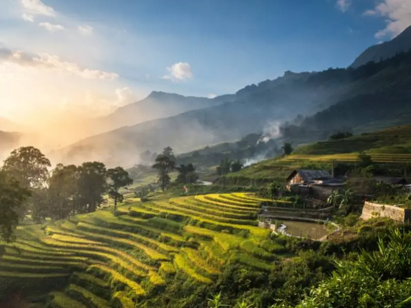 Rice terraces in Sapa, Vietnam