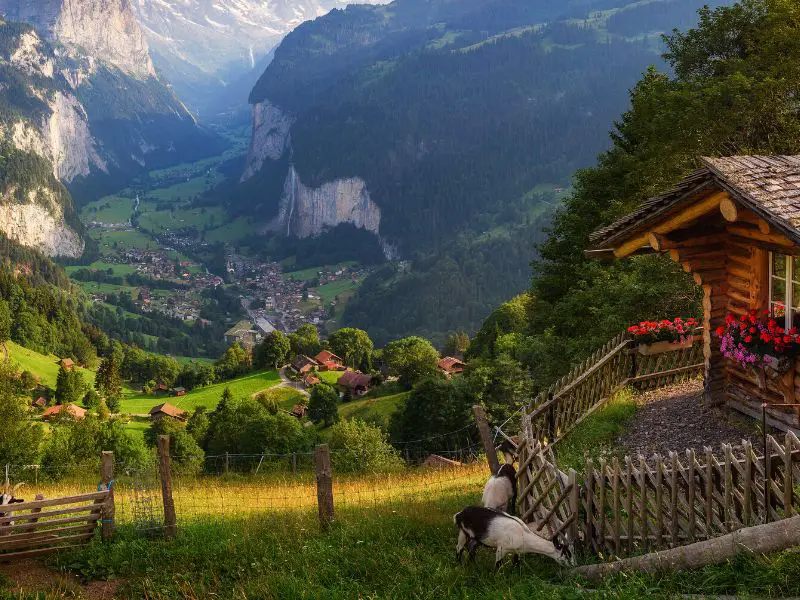 Wengwald, a stunning viewpoint of Lauterbrunnen Valley, Switzerland