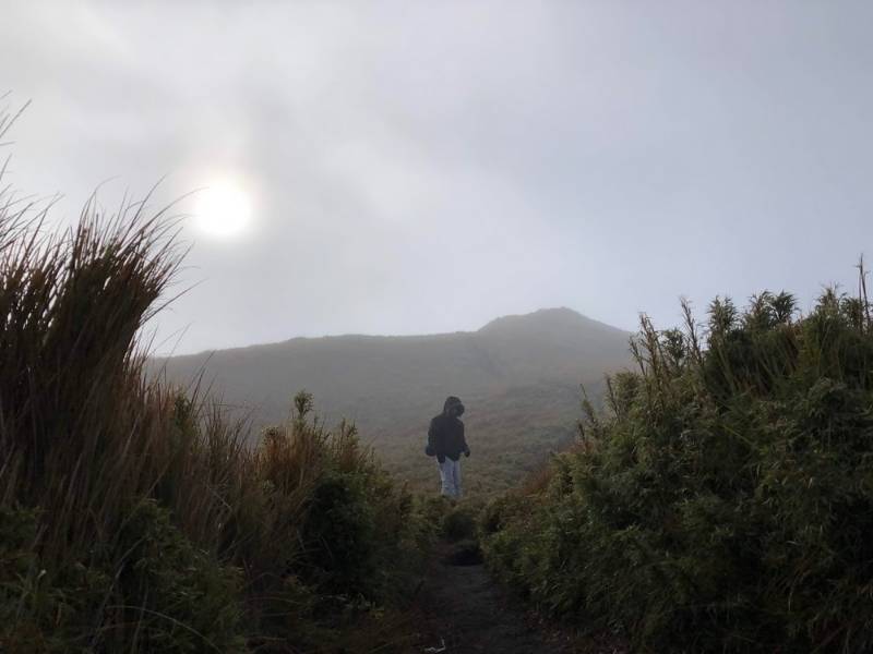 Hiking Mount Pulag, Philippines, Fog in the hiking trail