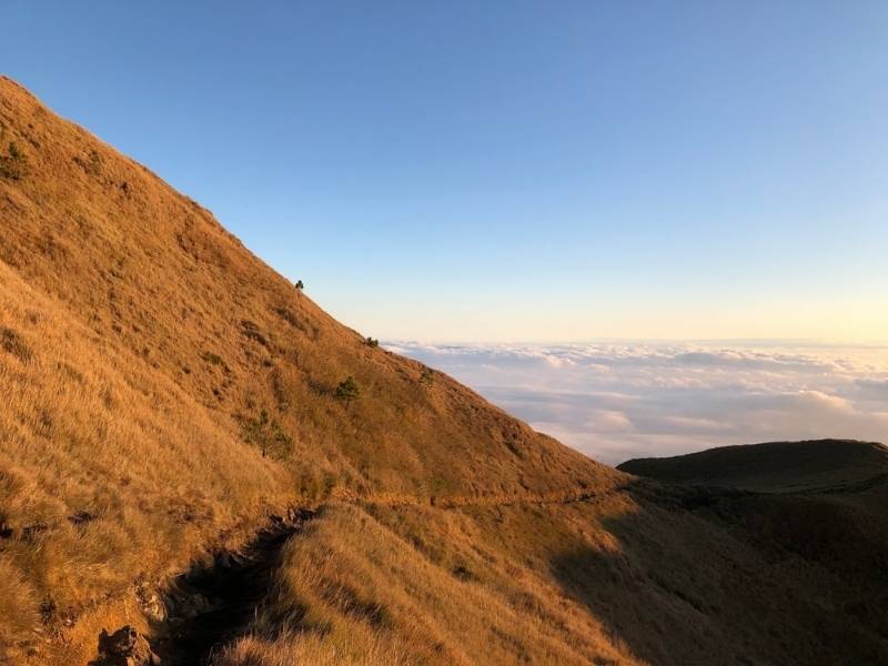 Hiking Mount Pulag, Philippines, Hiking trails in Mount Pulag's Grasslands