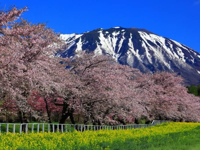 Mount-Iwate-Iwate-Japan
