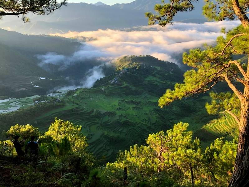 View of Maligcong Rice Terraces from Mount Kupapey (sunrise with sea of clouds)