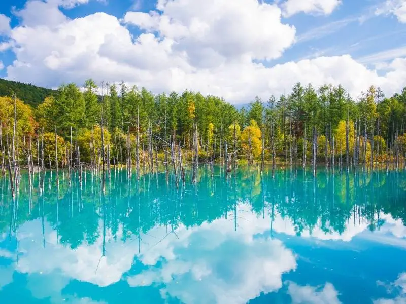 Shirogane-Blue-Pond-during-late-summer-Hokkaido-Japan