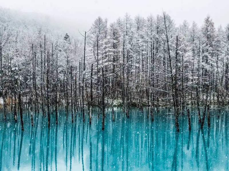 Shirogane Blue Pond during winter, Hokkaido, Japan