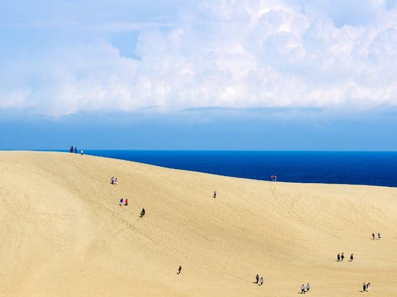Tottori-Sand-Dunes-Japan-2