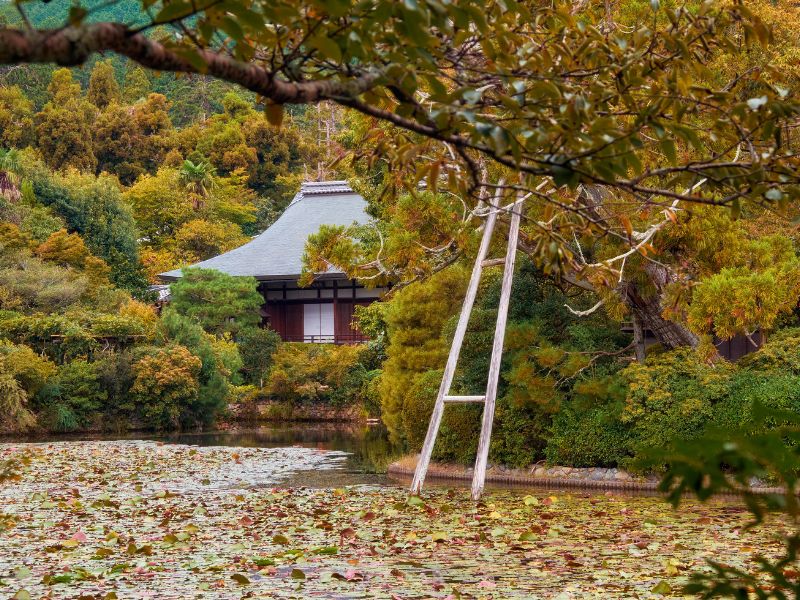 Kyoyochi-Pond-Water-Garden-Ryoan-Ji-Kyoto-Japan-Natural-Attractions-in-Kyoto