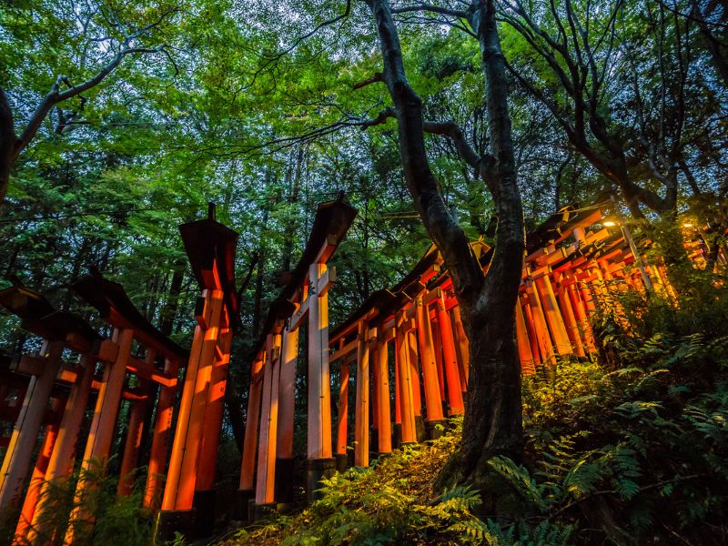 Red torii gates at the Fushimi Inari — Reason to visit Kyoto, Japan