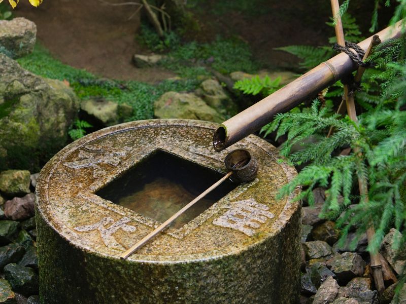 Ryoanji Zen Garden Water Basin — Reason to visit Kyoto, Japan