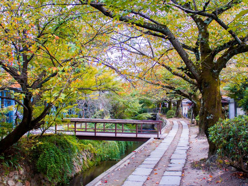 Tetsugaku-No-Michi-Pathway-Kyoto-Japan-Natural-Attractions-in-Kyoto
